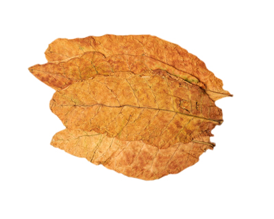 Schatze Biotech Tobacco Flavor E-liquid,CN Tobacco