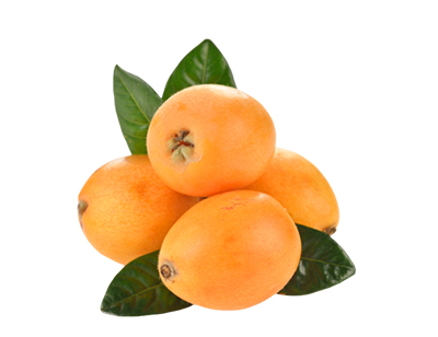 Schatze Biotech Schatze Biotech Herbal Vape Juices Loquat-Herbal