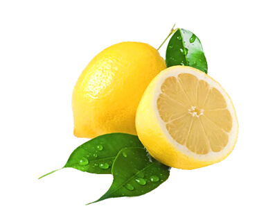 Schatze Heat-not-burn Series - Lemon Flavour