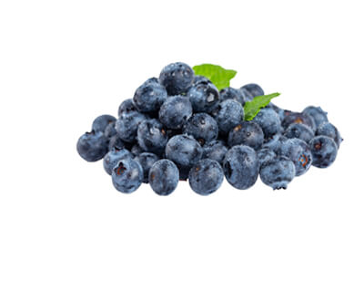 Schatze Heat-not-burn Series - Blueberry Flavour