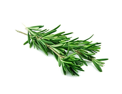 Schatze Shisha Paste Series - Vanilla